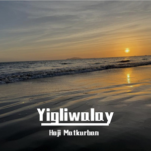 日本丰满肥护士BBw
