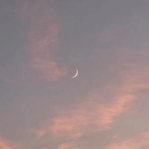 日本丰满肥护士BBw
