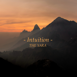 日本丰满肥护士BBw
